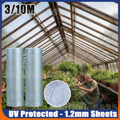 10m high impact - 3m, clear